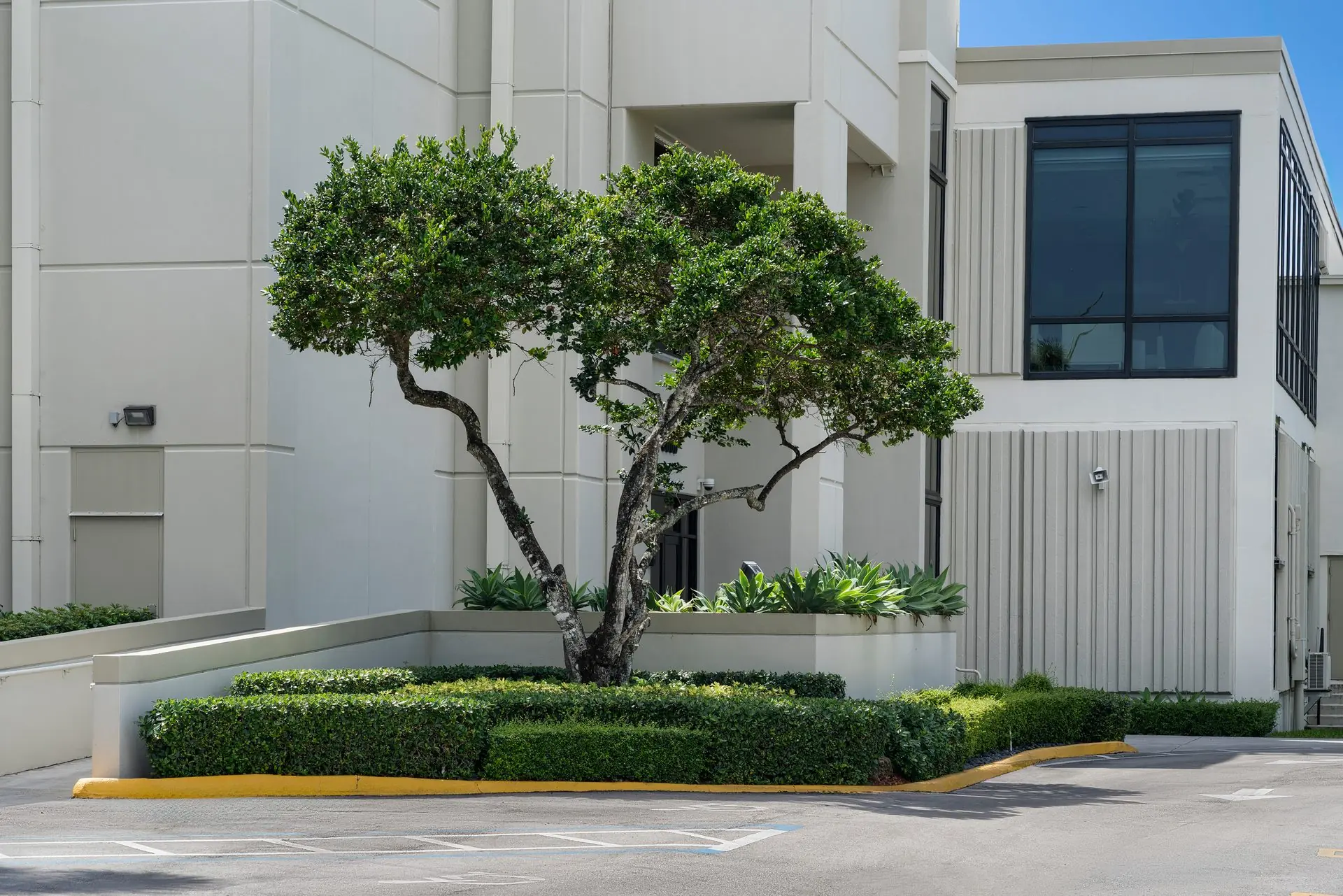 Medical center campus