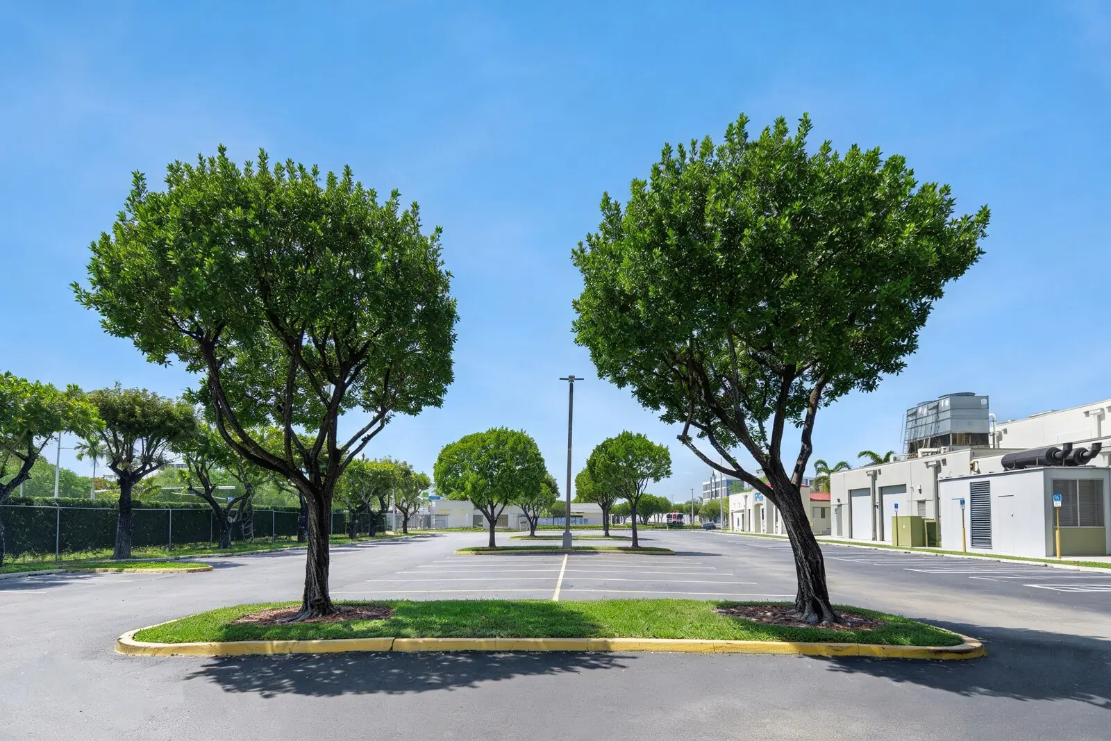 Landscape maintenance