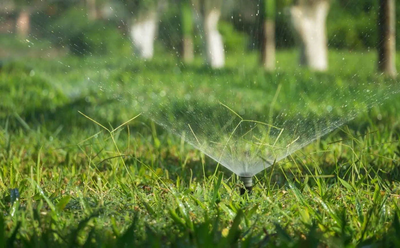Irrigation and water management
