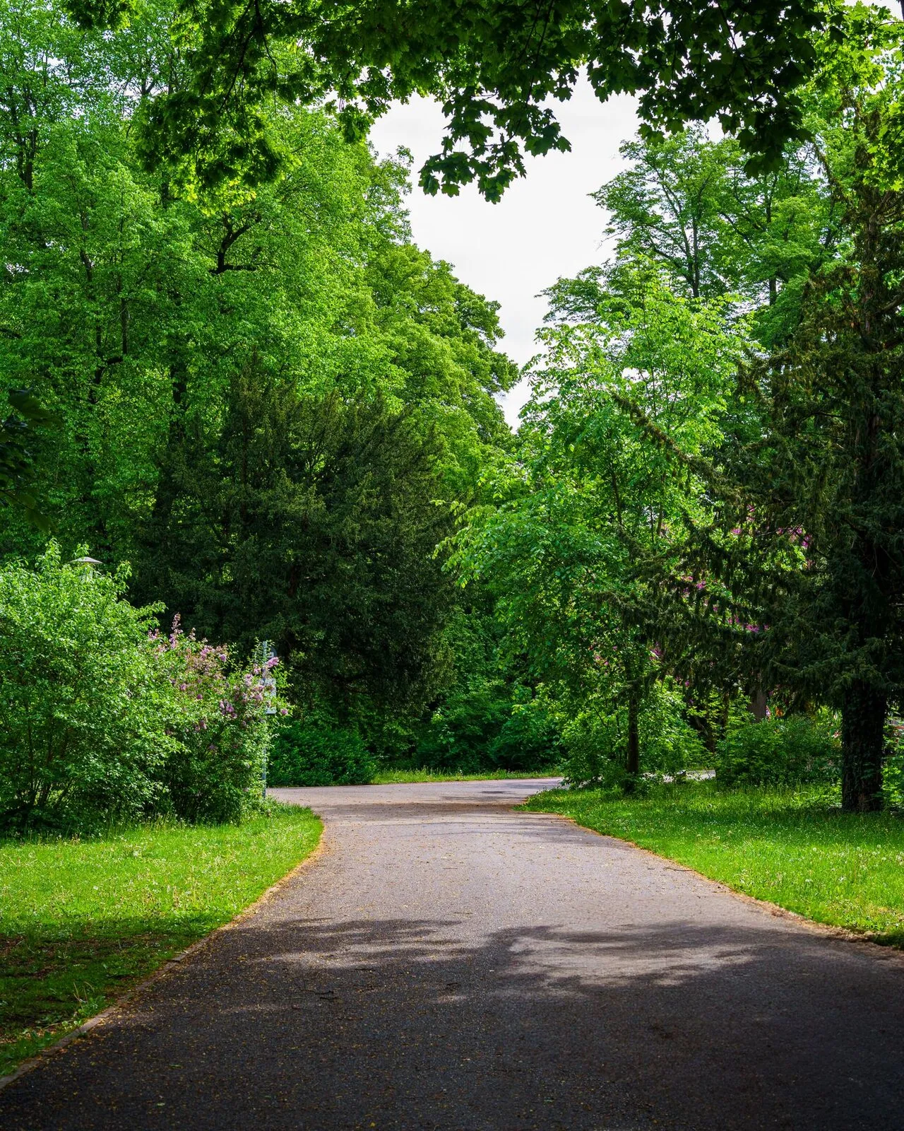 A public park maintained by Raise