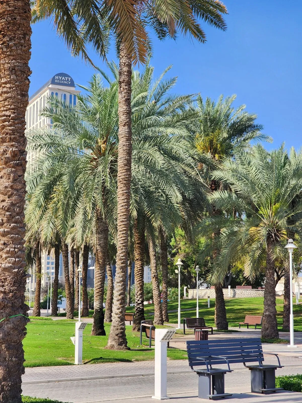 Civic boulevard grounds maintained by Raise